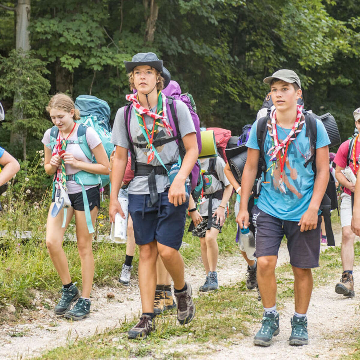 Obvestilo o zaprtju prijav